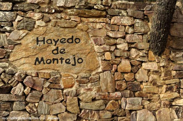 Hayedo de Montejo de la Sierra Madrid Spain 0206